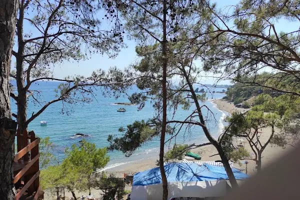 Pullu Tabİat Parkı - Resim 4