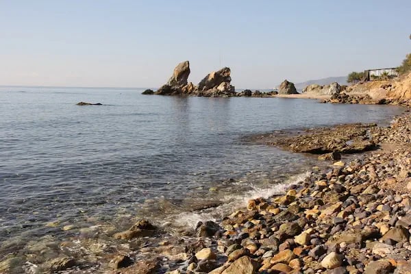 Pullu Tabİat Parkı - Resim 9