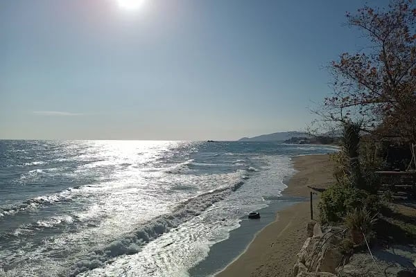 Pullu Tabİat Parkı - Resim 13