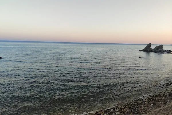 Pullu Tabİat Parkı - Resim 8