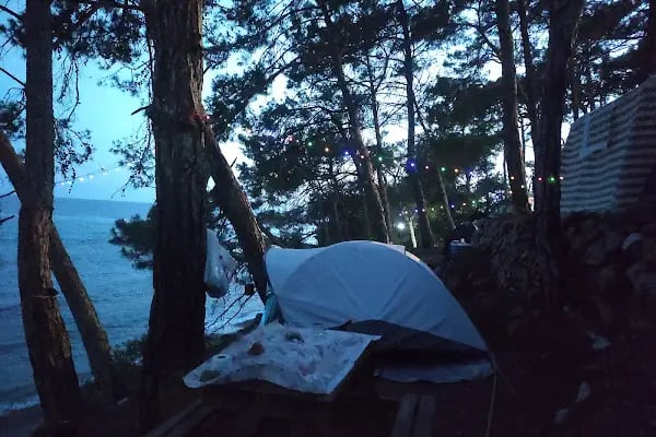 Pullu Tabİat Parkı - Resim 11