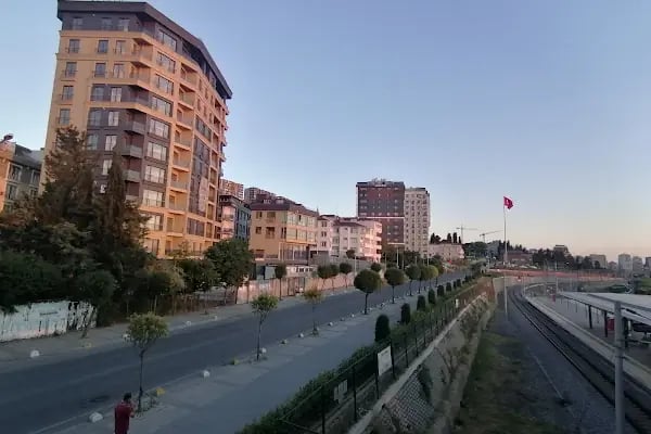 Mustafa Kemal - Resim 16
