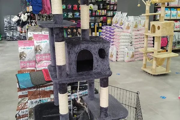 Tropical Petshop 2 - Resim 6
