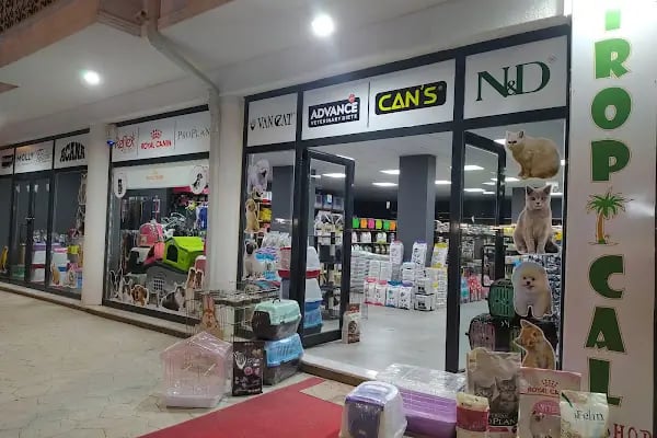 Tropical Petshop 2 - Resim 12