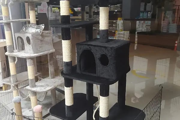 Tropical Petshop 2 - Resim 4