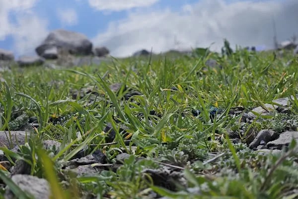 Çanıllı Barajı Asartepe Barajı - Resim 8
