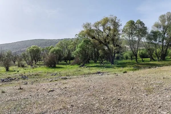 Çanıllı Barajı Asartepe Barajı - Resim 16