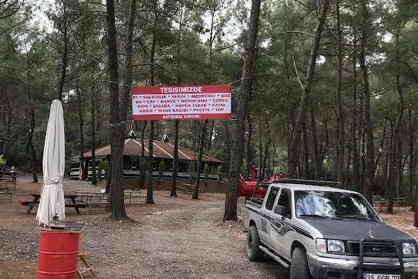 Bahçe arası piknik mangal - Resim 11