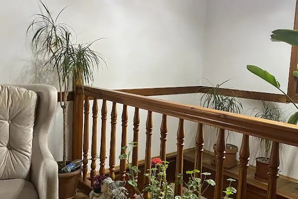 Ankara Psikolog Ceren Özer ANKARA PSİKOLOG| ANKARA TERAPİ | ANKARA PSİKOLOJİK DANIŞMAN | ANKARA ÇOCUK PSİKOLOGU - Resim 4