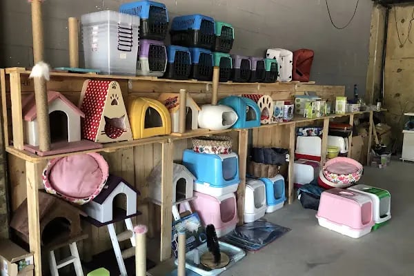 Çalı Petshop Bursa - Resim 4
