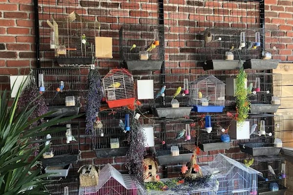 Çalı Petshop Bursa - Resim 2