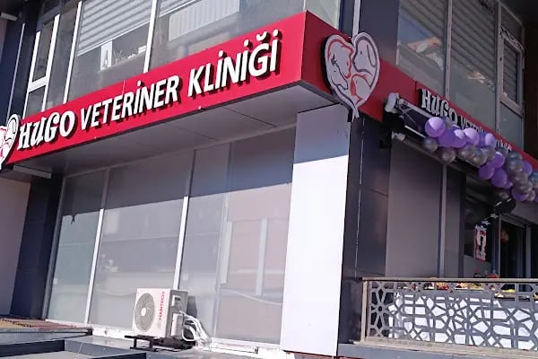 Ataşehir HUGO Veteriner Kliniği - Ataşehir 7/24 Veteriner - Acil Veteriner - Resim 7