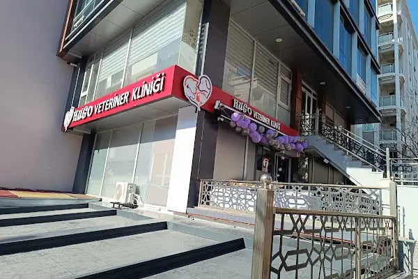 Ataşehir HUGO Veteriner Kliniği - Ataşehir 7/24 Veteriner - Acil Veteriner - Resim 2