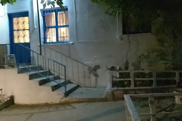 Swakrana Art House - Resim 9