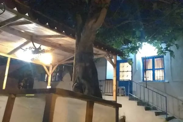 Swakrana Art House - Resim 18