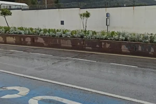 Almanya Federal Cumhuriyeti Başkonsolosluğu İzmir - Resim 15