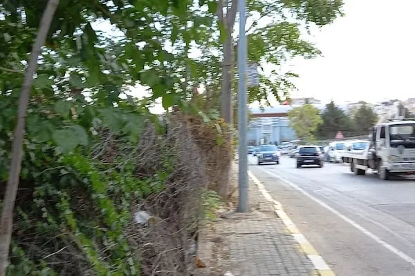 Almanya Federal Cumhuriyeti Başkonsolosluğu İzmir - Resim 20