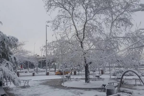 Manisa Gençlik Parkı- (Gençlik Cafe) - Resim 7