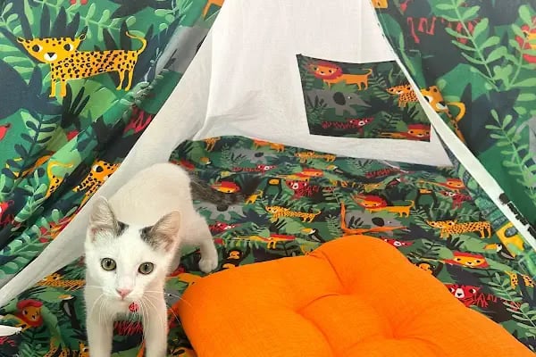 Arnavutköy Manolya Danışmanlık ve Oyun Atölyeleri - Resim 9