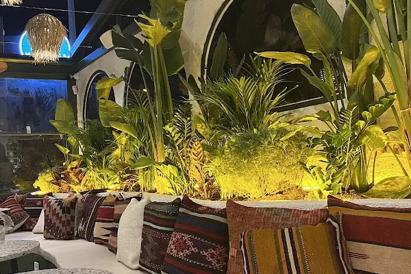 Orman İçi Cafe & Restaurant - Resim 14
