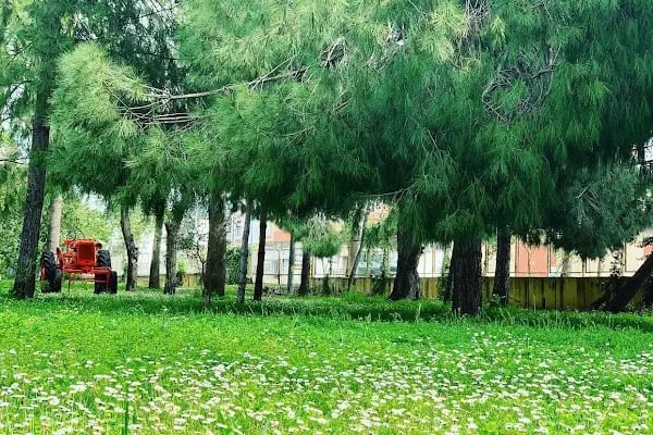 Çukurova Üniversitesi Ceyhan Meslek Yüksekokulu - Resim 2