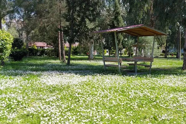 Çukurova Üniversitesi Ceyhan Meslek Yüksekokulu - Resim 10
