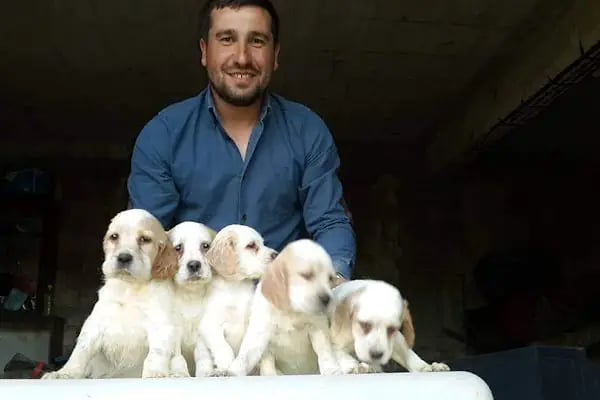 Nuhun Gemisi Veteriner Klınıği - Resim 19