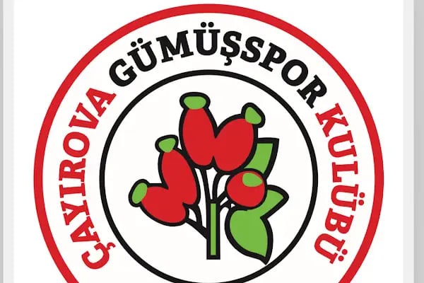 Çayırova Gümüş Spor Kulübü - Resim 7