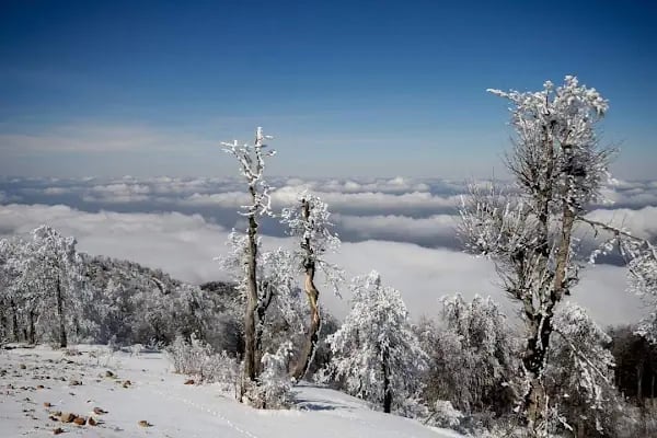 Kartalkaya Kayak Merkezi - Resim 10