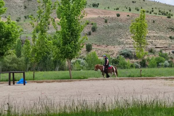 YAREN AT ÇİFTLİĞİ - Resim 16