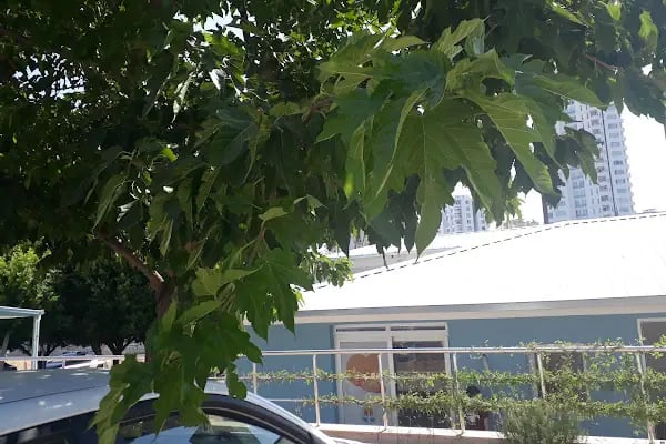 Adana Büyükşehir Belediyesi Kapalı Yüzme Havuzu - Resim 10