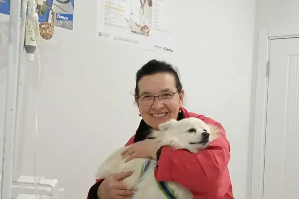 Akpınar Veteriner Kliniği - Resim 6