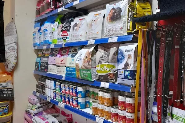 LOULOU PET KUAFÖRÜ &amp; SPA - PET KOLEKSİYONU &amp; KÖPEK MANKENLERİ - Resim 11