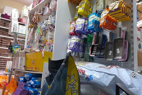 LOULOU PET KUAFÖRÜ &amp; SPA - PET KOLEKSİYONU &amp; KÖPEK MANKENLERİ - Resim 8