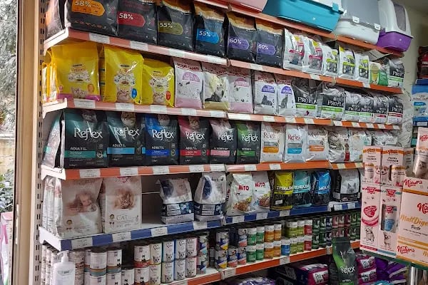 LOULOU PET KUAFÖRÜ &amp; SPA - PET KOLEKSİYONU &amp; KÖPEK MANKENLERİ - Resim 9