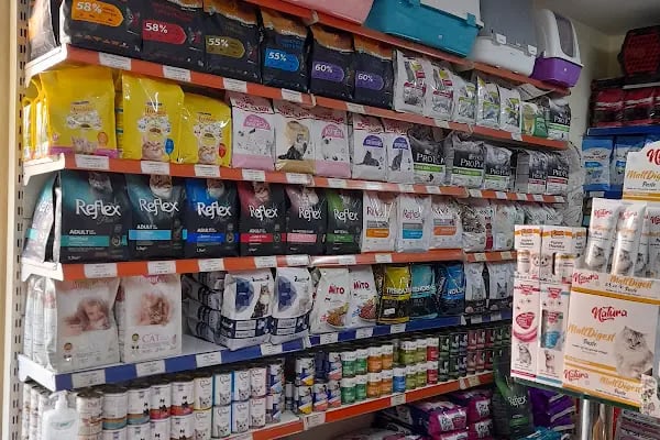 LOULOU PET KUAFÖRÜ &amp; SPA - PET KOLEKSİYONU &amp; KÖPEK MANKENLERİ - Resim 15