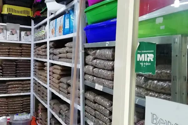 LOULOU PET KUAFÖRÜ &amp; SPA - PET KOLEKSİYONU &amp; KÖPEK MANKENLERİ - Resim 20