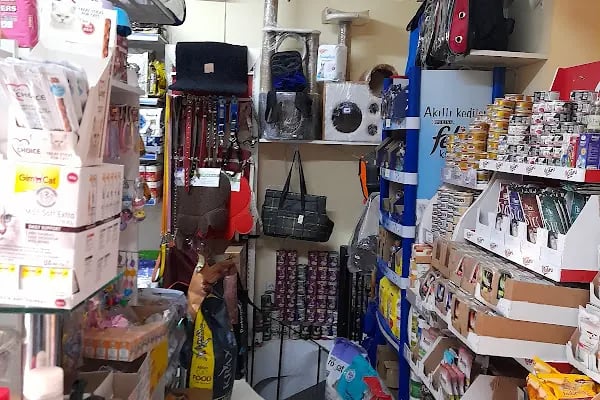 LOULOU PET KUAFÖRÜ &amp; SPA - PET KOLEKSİYONU &amp; KÖPEK MANKENLERİ - Resim 14
