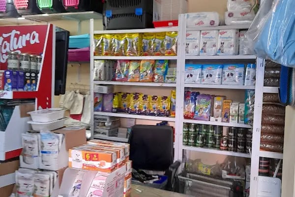 LOULOU PET KUAFÖRÜ &amp; SPA - PET KOLEKSİYONU &amp; KÖPEK MANKENLERİ - Resim 17