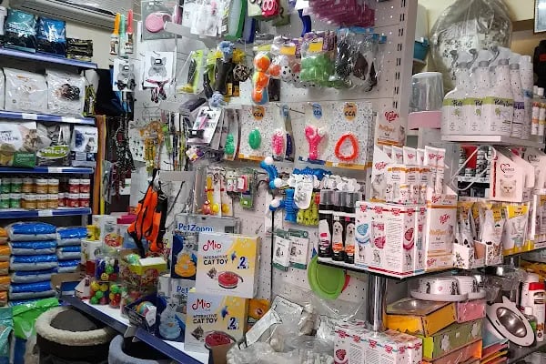LOULOU PET KUAFÖRÜ &amp; SPA - PET KOLEKSİYONU &amp; KÖPEK MANKENLERİ - Resim 6