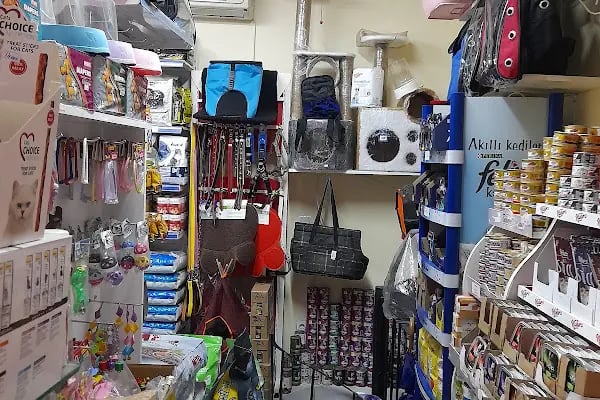LOULOU PET KUAFÖRÜ &amp; SPA - PET KOLEKSİYONU &amp; KÖPEK MANKENLERİ - Resim 12