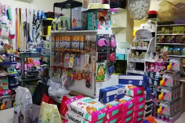 LOULOU PET KUAFÖRÜ &amp; SPA - PET KOLEKSİYONU &amp; KÖPEK MANKENLERİ - Resim 16