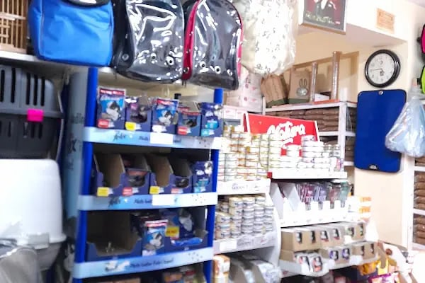 LOULOU PET KUAFÖRÜ &amp; SPA - PET KOLEKSİYONU &amp; KÖPEK MANKENLERİ - Resim 19