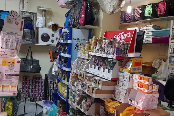 LOULOU PET KUAFÖRÜ &amp; SPA - PET KOLEKSİYONU &amp; KÖPEK MANKENLERİ - Resim 10