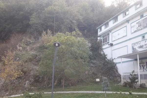 Oylat SPA (SUGESAM) - Resim 7