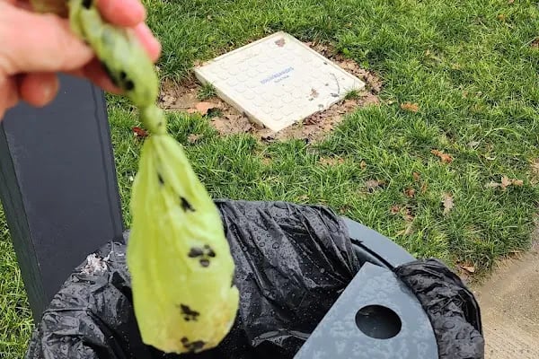 Seymen millet bahçesi - Resim 15