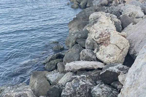 Mezitli Aquapark ve havuz - Resim 10