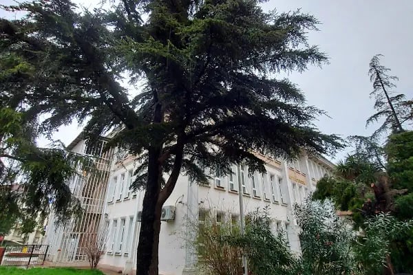 Sakarya İl Halk Kütüphanesi - Resim 11