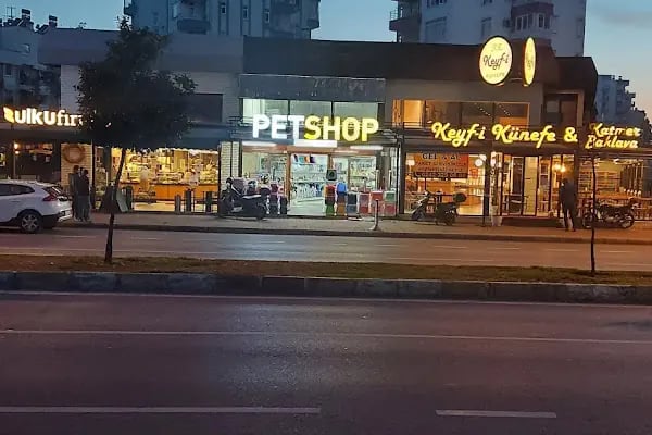 Doğan PetShop 2-Şirinyalı - Resim 13