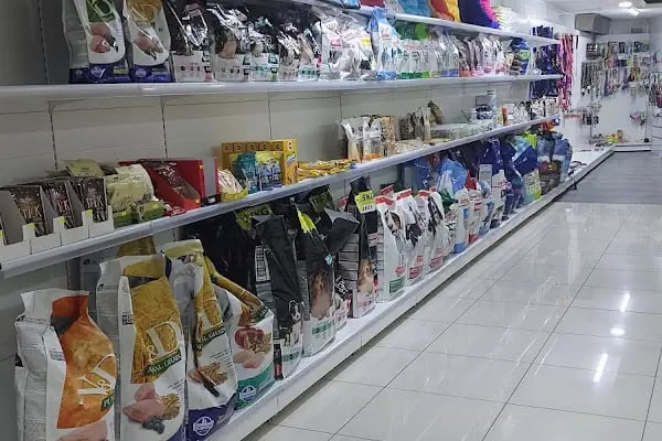 Doğan PetShop 2-Şirinyalı - Resim 11